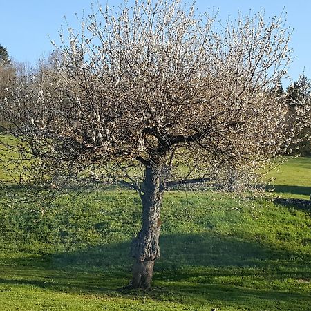 Gite Bard Des Ours Saint-Martin-en-Vercors المظهر الخارجي الصورة